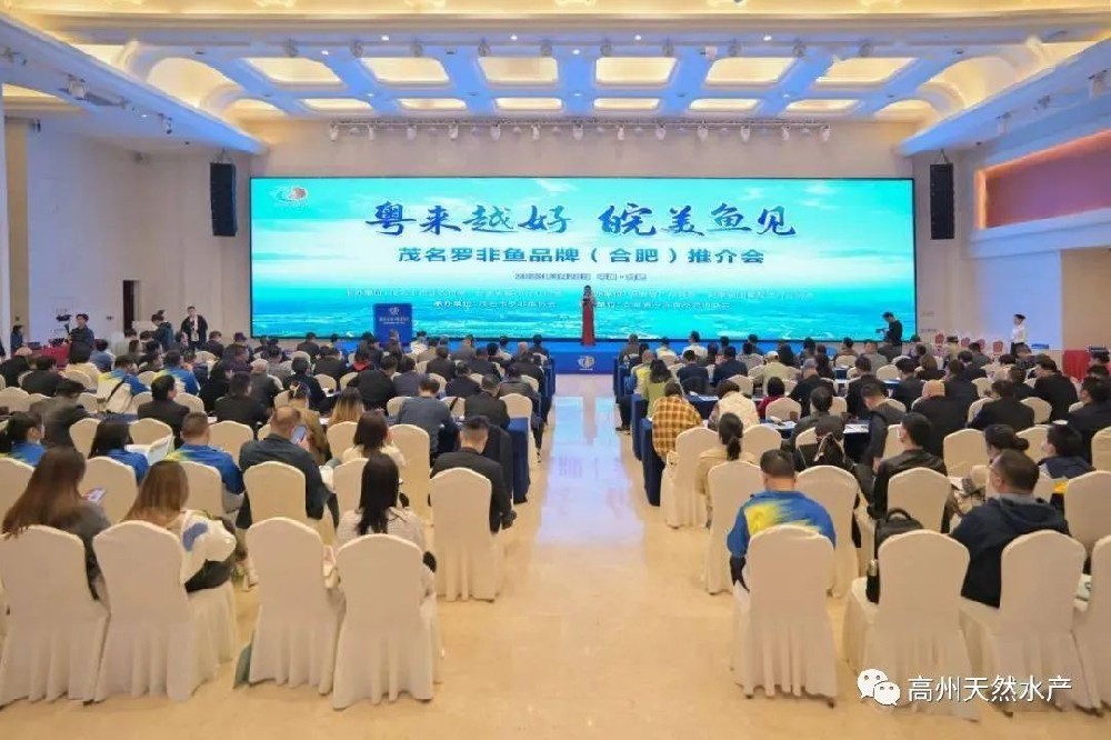 “粵來(lái)越好 皖美魚見(jiàn)”-----茂名“一條魚”（羅非魚）引爆安徽商圈！